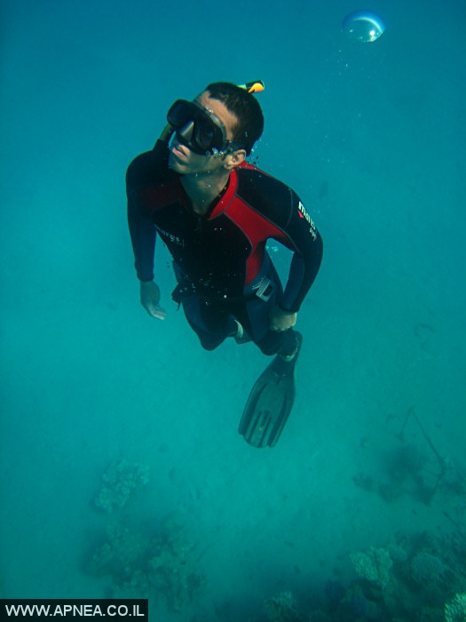   - APNEA -  , , , ,   - 019