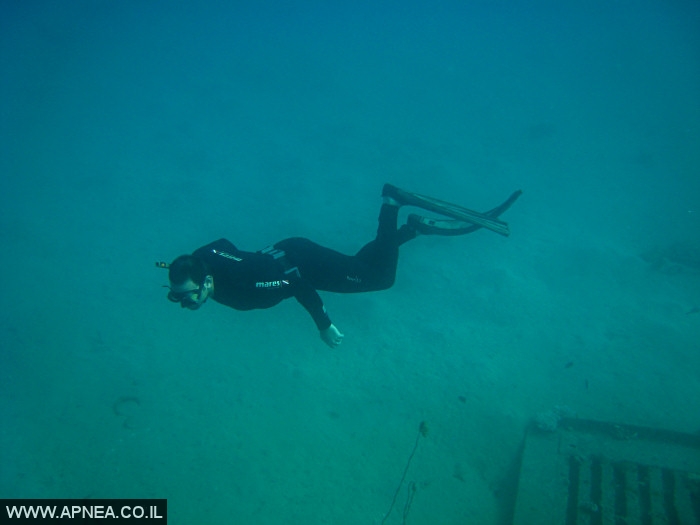    - APNEA -  , , , ,   - 020