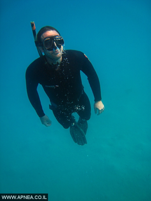    - APNEA -  , , , ,   - 023
