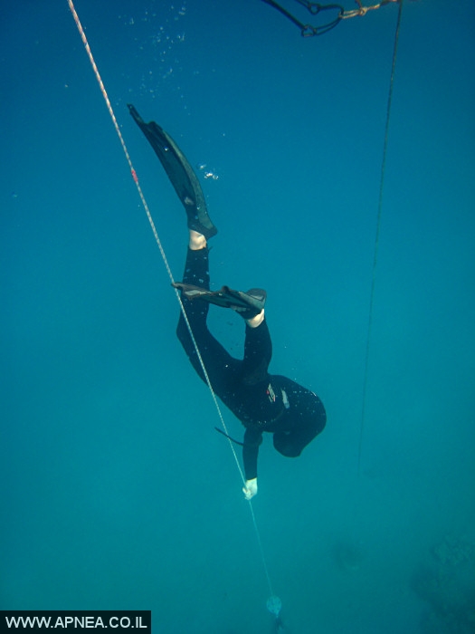    - APNEA -  , , , ,   - 025