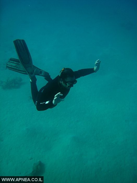    - APNEA -  , , , ,   - 005