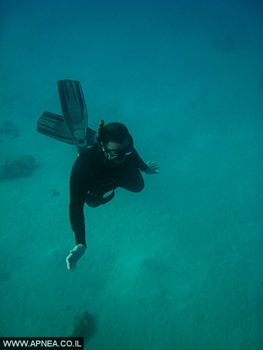    - APNEA -  , , , ,   - 006