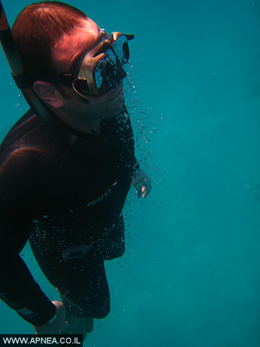    - APNEA -  , , , ,   - 007