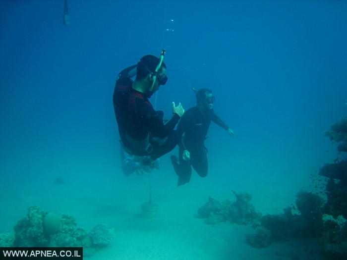    - APNEA -  , , , ,   - 010