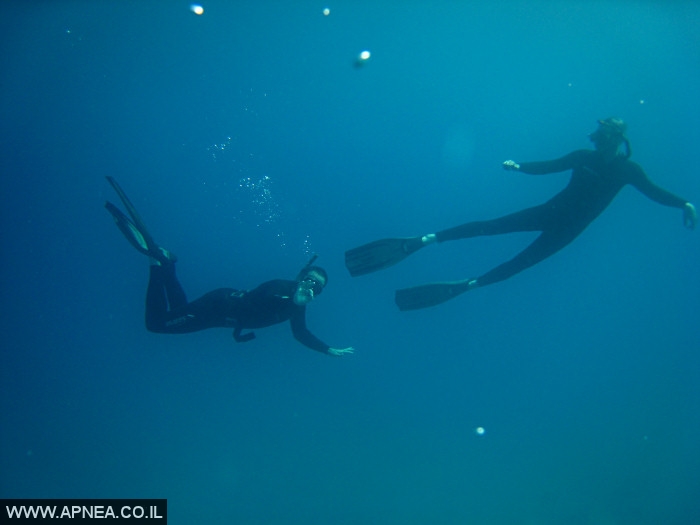    - APNEA -  , , , ,   - 013