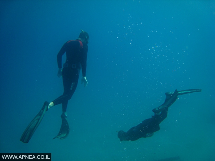    - APNEA -  , , , ,   - 015