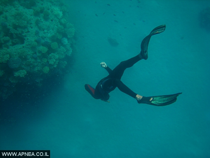    - APNEA -  , , , ,   - 021