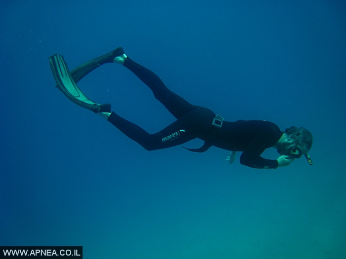    - APNEA -  , , , ,   - 002
