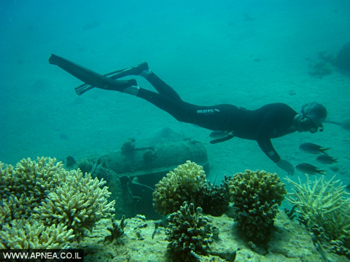   - APNEA -  , , , ,   - 004
