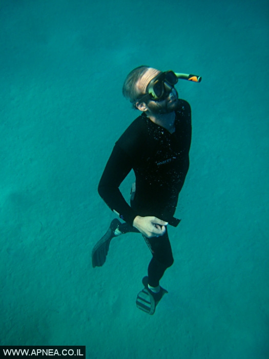    - APNEA -  , , , ,   - 005