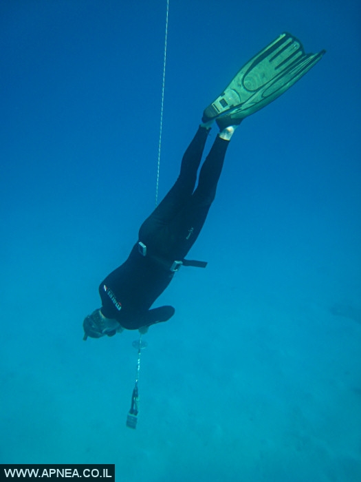    - APNEA -  , , , ,   - 006