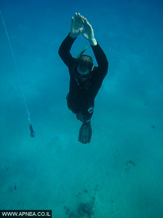    - APNEA -  , , , ,   - 008