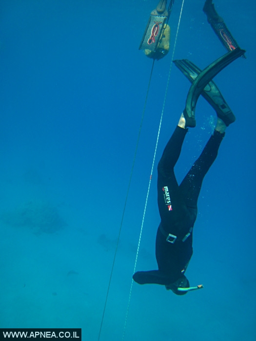    - APNEA -  , , , ,   - 009