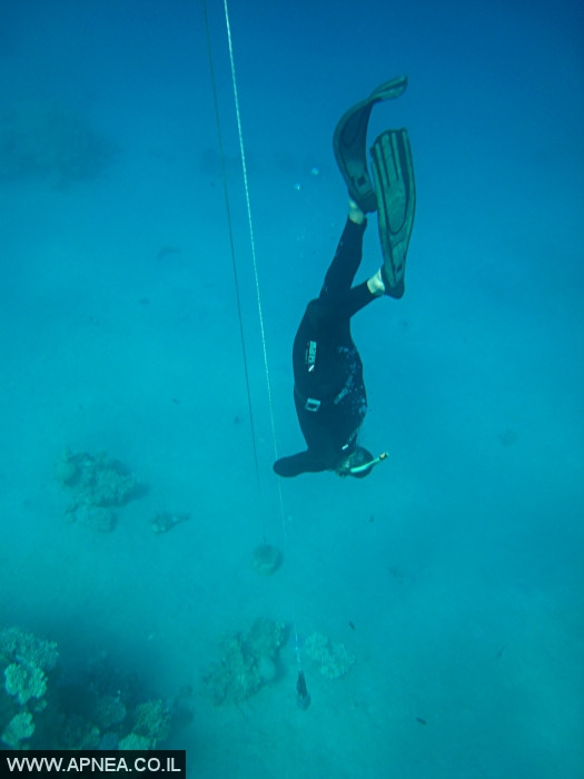    - APNEA -  , , , ,   - 010
