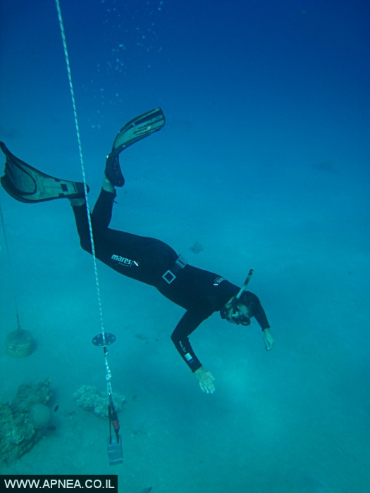    - APNEA -  , , , ,   - 011