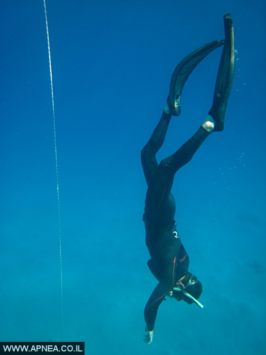    - APNEA -  , , , ,   - 014