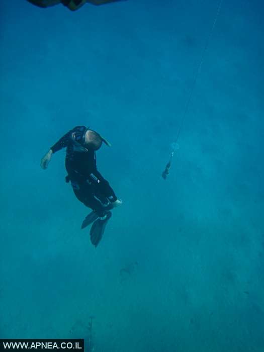    - APNEA -  , , , ,   - 020