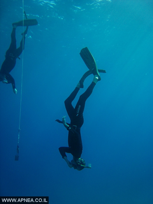    - APNEA -  , , , ,   - 022