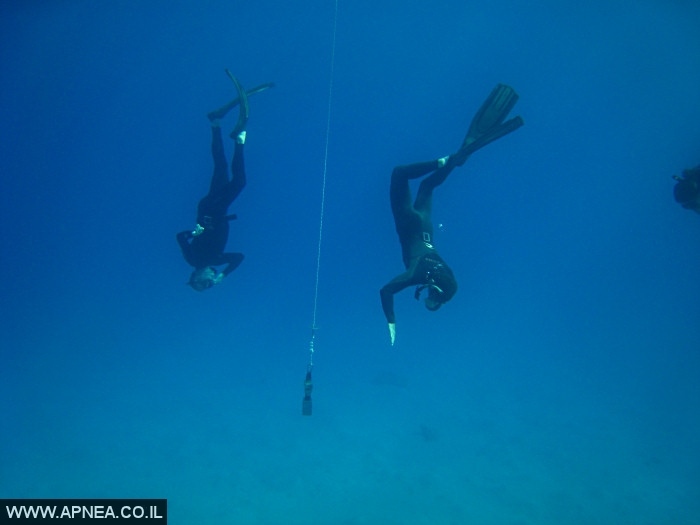    - APNEA -  , , , ,   - 003