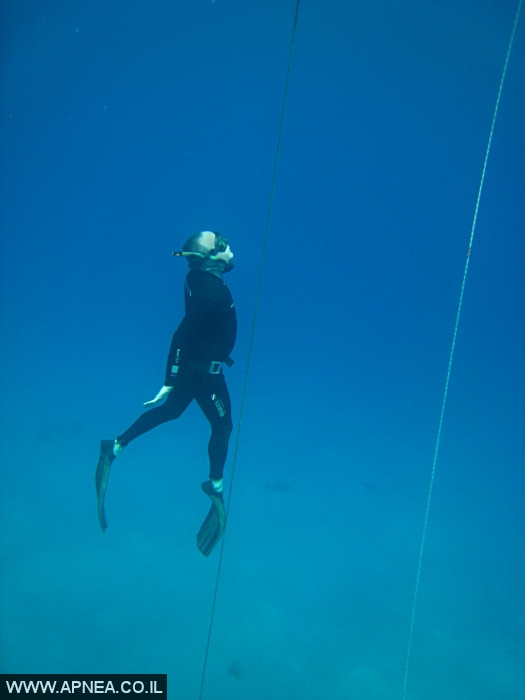    - APNEA -  , , , ,   - 006