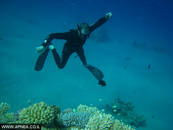    - APNEA -  , , , ,   - 009