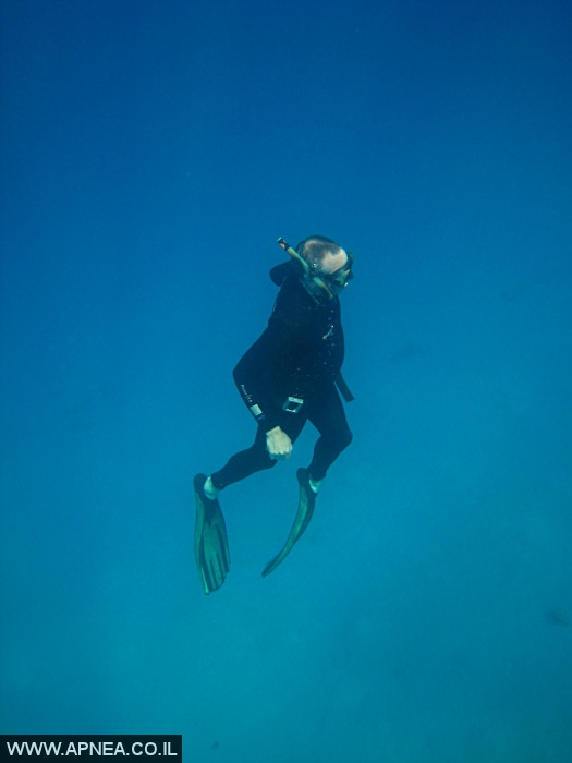    - APNEA -  , , , ,   - 009