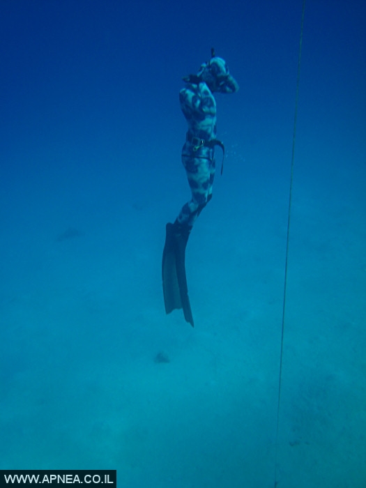   - APNEA -  , , , ,   - 010