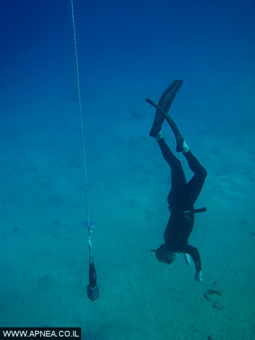   - APNEA -  , , , ,   - 013