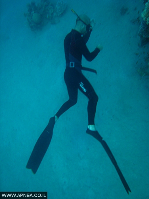    - APNEA -  , , , ,   - 001
