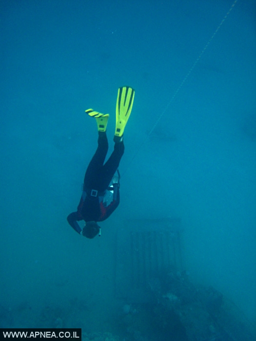    - APNEA -  , , , ,   - 005