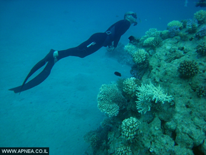    - APNEA -  , , , ,   - 007
