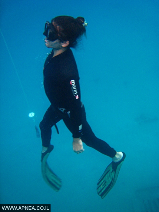    - APNEA -  , , , ,   - 009