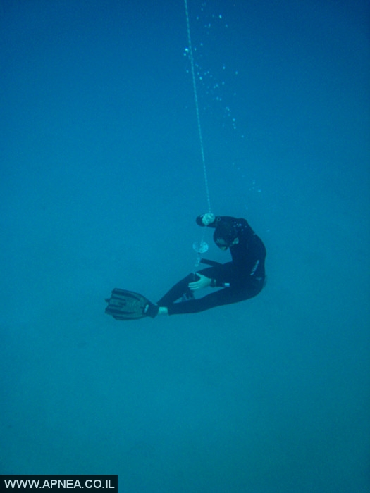    - APNEA -  , , , ,   - 010