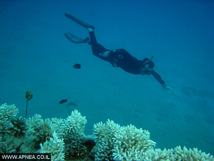    - APNEA -  , , , ,   - 011