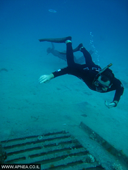    - APNEA -  , , , ,   - 012