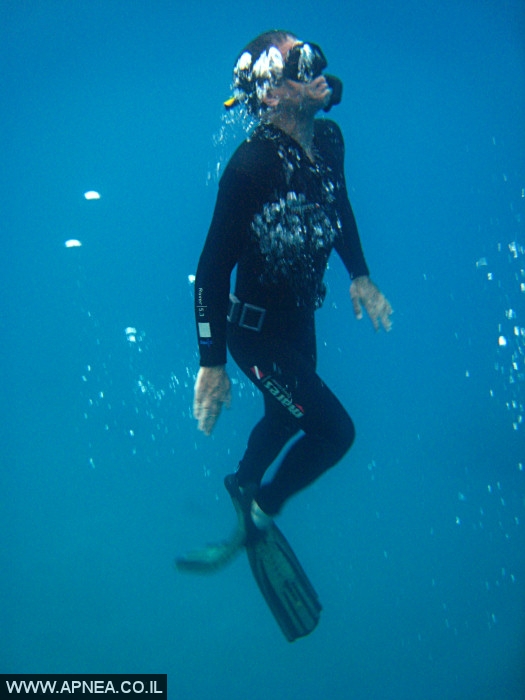   - APNEA -  , , , ,   - 014