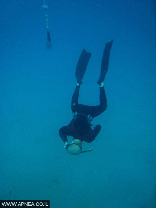    - APNEA -  , , , ,   - 016
