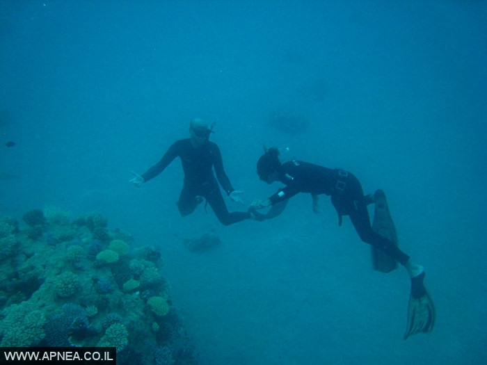    - APNEA -  , , , ,   - 022