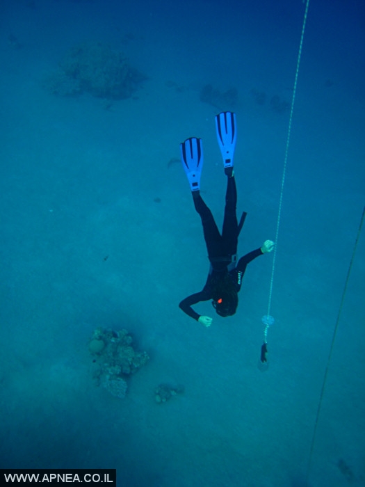    - APNEA -  ,   - 007