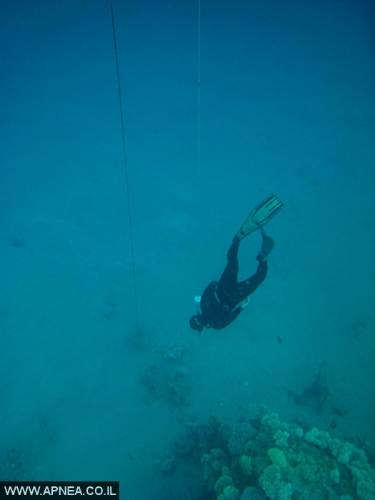    - APNEA -  , , ,   - 005