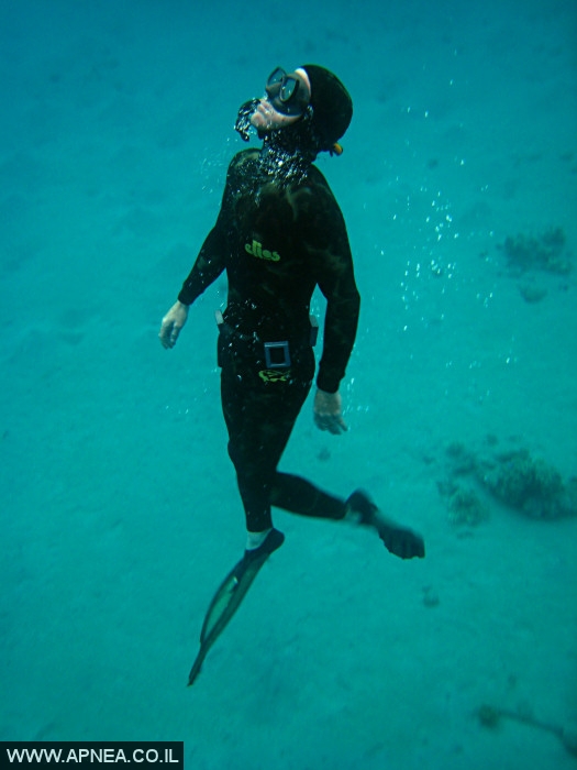    - APNEA -  , , ,   - 011