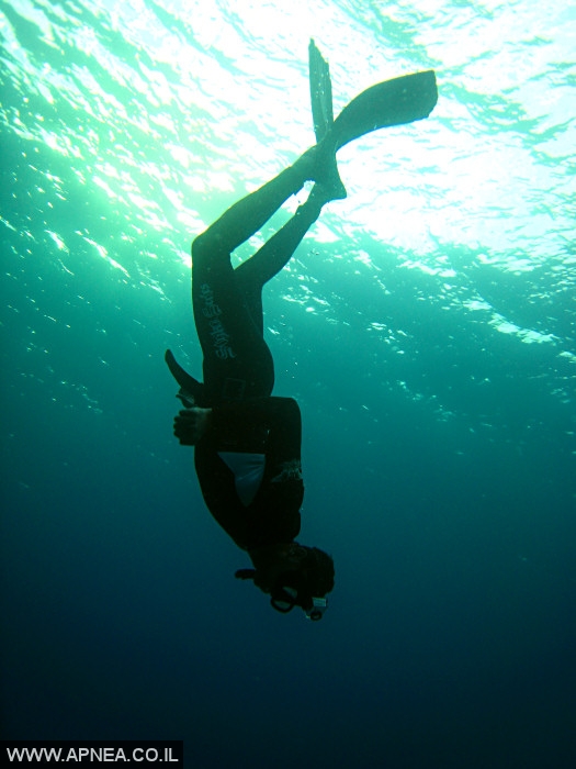    - APNEA -  , , ,   - 012