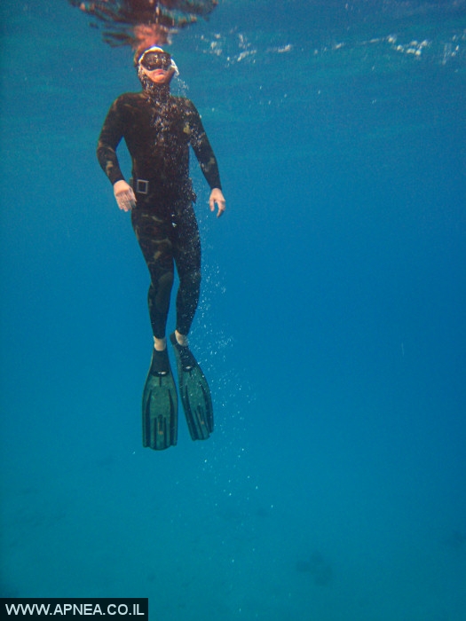    - APNEA -  , , ,   - 025