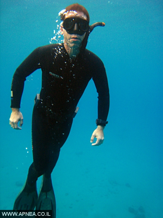    - APNEA -  , , ,   - 028