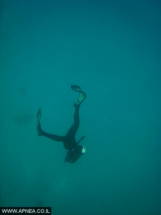    - APNEA -    - 004