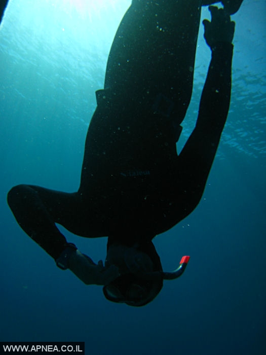    - APNEA -  , ,   - 006