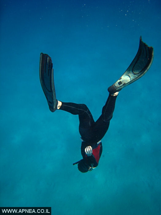    - APNEA -  , ,   - 011