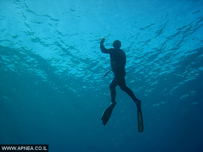    - APNEA -  , ,   - 007