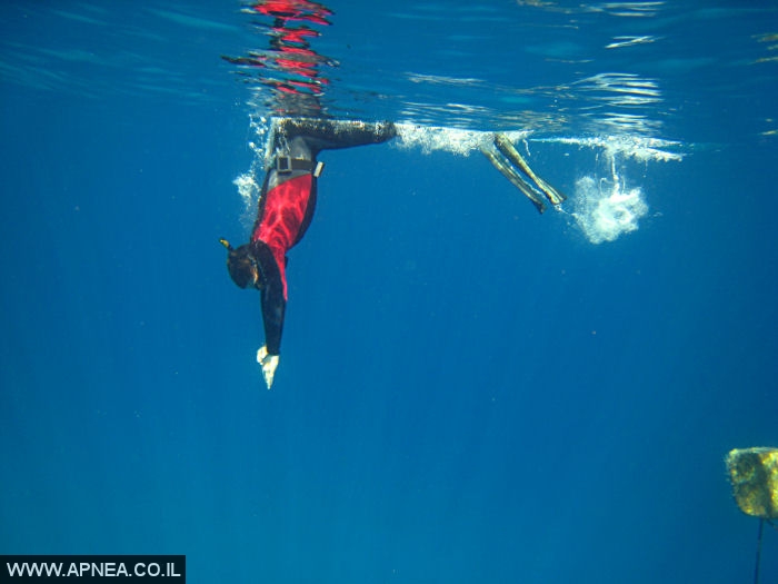    - APNEA -  , ,   - 026