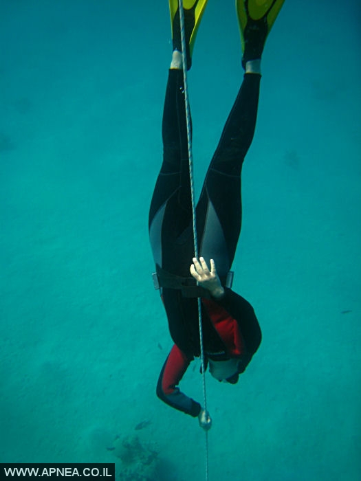    - APNEA -  ,   - 010